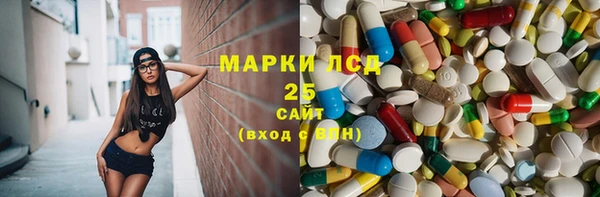apvp Надым