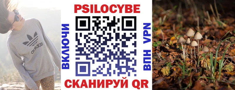 закладка  Южноуральск  Галлюциногенные грибы Cubensis 