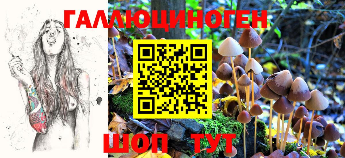 Псилоцибиновые грибы Magic Shrooms Южноуральск