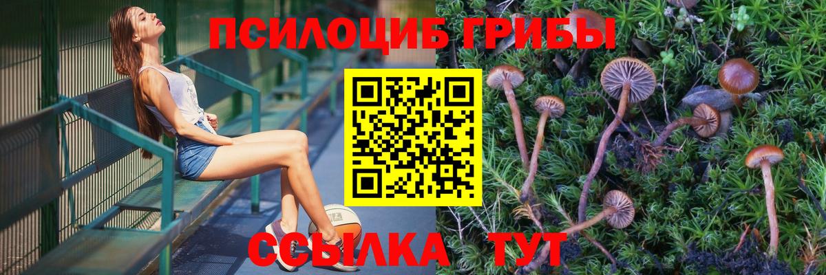 Галлюциногенные грибы Psilocybe  Вход с VPN  Южноуральск 