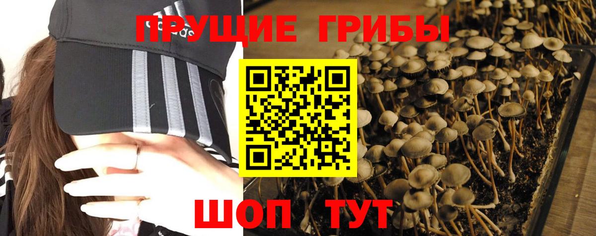 Псилоцибиновые грибы Magic Shrooms  Псилоцибиновые грибы Psilocybine cubensis  Южноуральск 