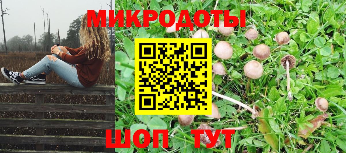 Галлюциногенные грибы Psilocybine cubensis Южноуральск